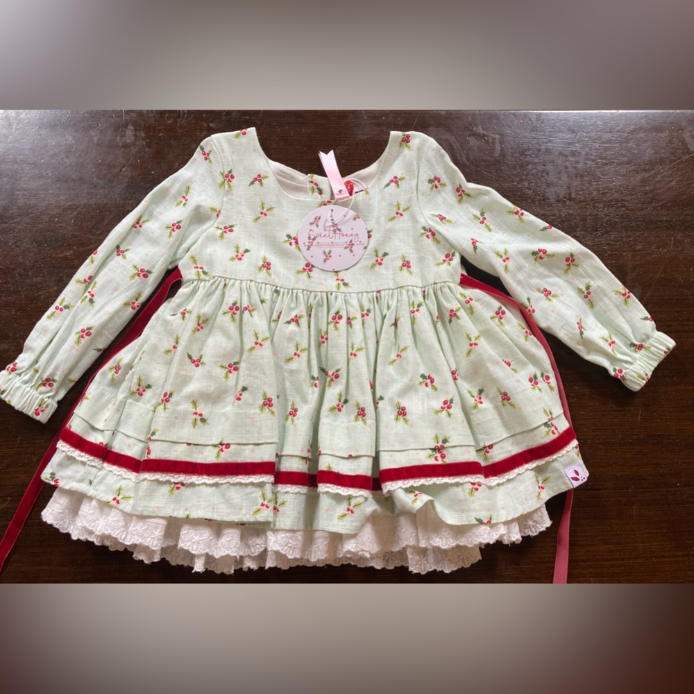 Sweet Honey NWT dress